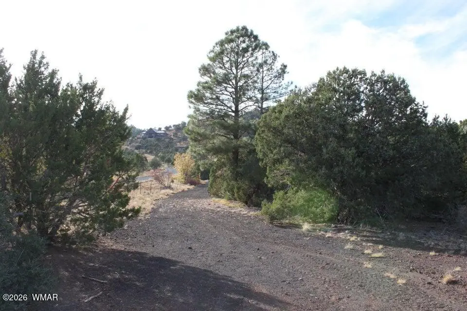 TBD County Road 3140, Vernon, AZ 85940 - #1