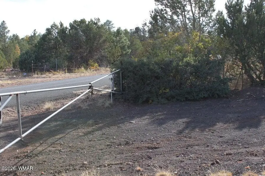 TBD County Road 3140, Vernon, AZ 85940 - #2