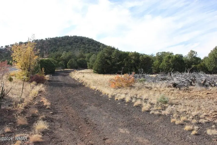 TBD County Road 3140, Vernon, AZ 85940 - #3