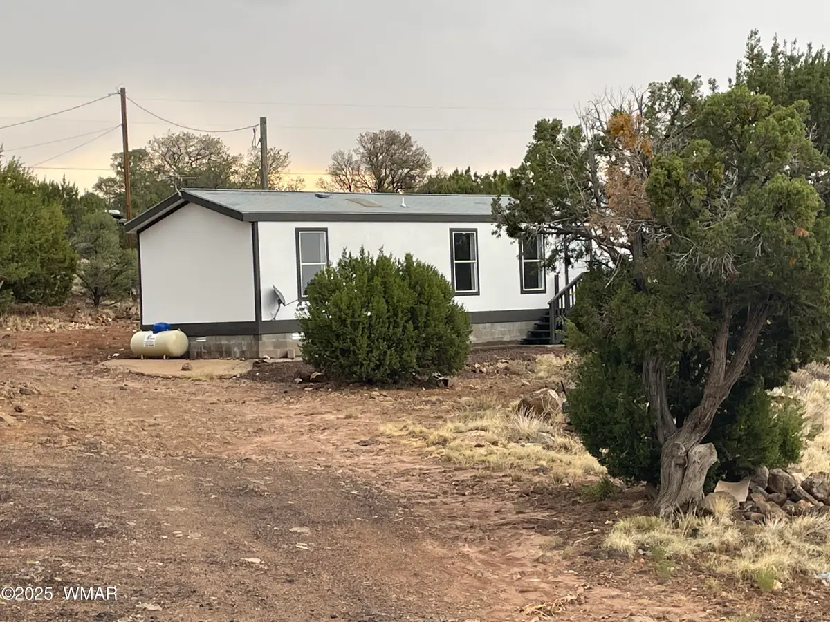 61 County Road 8027, Concho, AZ 85924 - #1