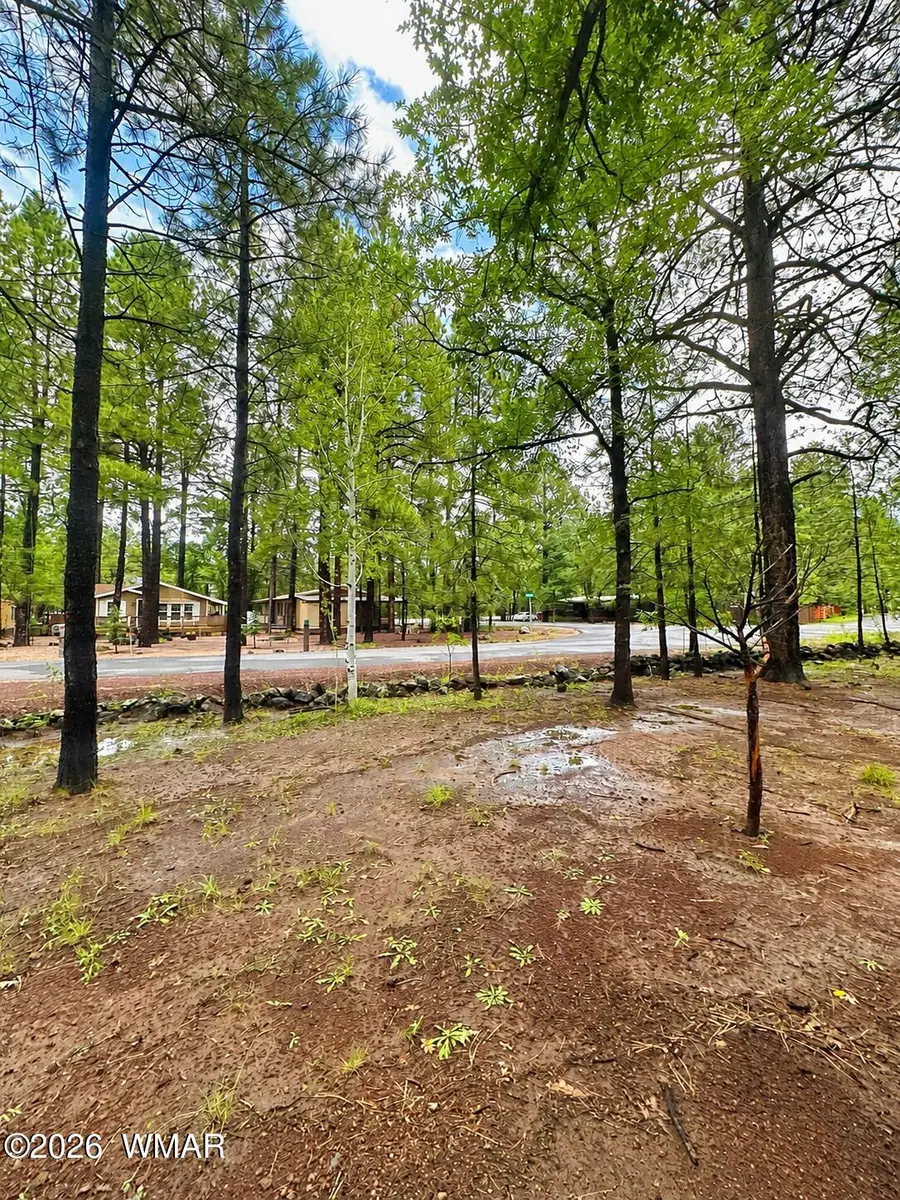 4201 Moon Creek, Pinetop, AZ 85935 - #3