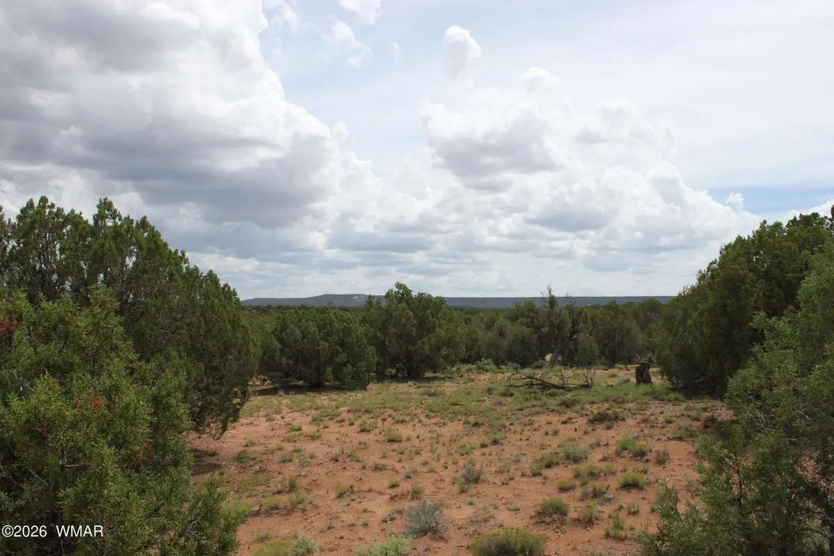 TBD N8595, Concho, AZ 85924 - #1