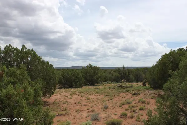 TBD N8595, Concho, AZ 85924
