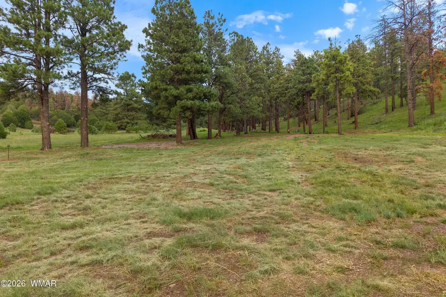 TBD N2276, Nutrioso, AZ 85932 - #2