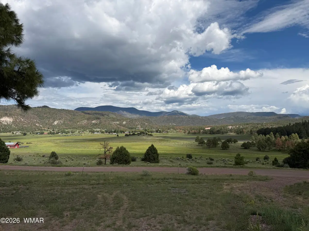 Lot 52 County Road 2225, Nutrioso, AZ 85932 - #1