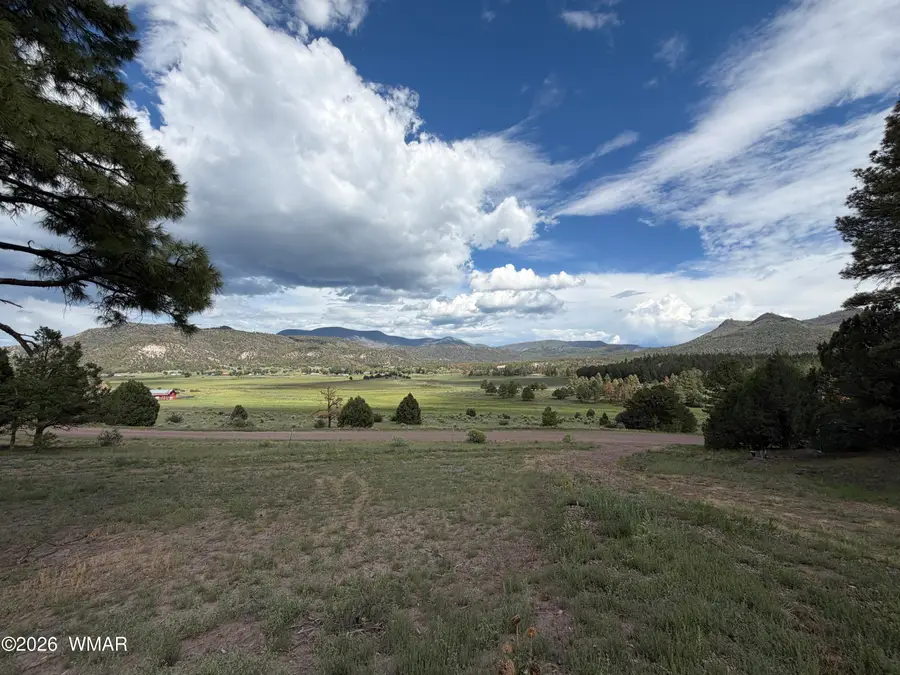 Lot 52 County Road 2225, Nutrioso, AZ 85932 - #2