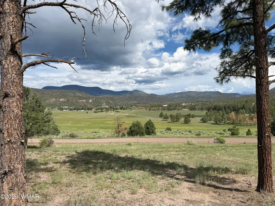 Lot 52 County Road 2225, Nutrioso, AZ 85932 - #3