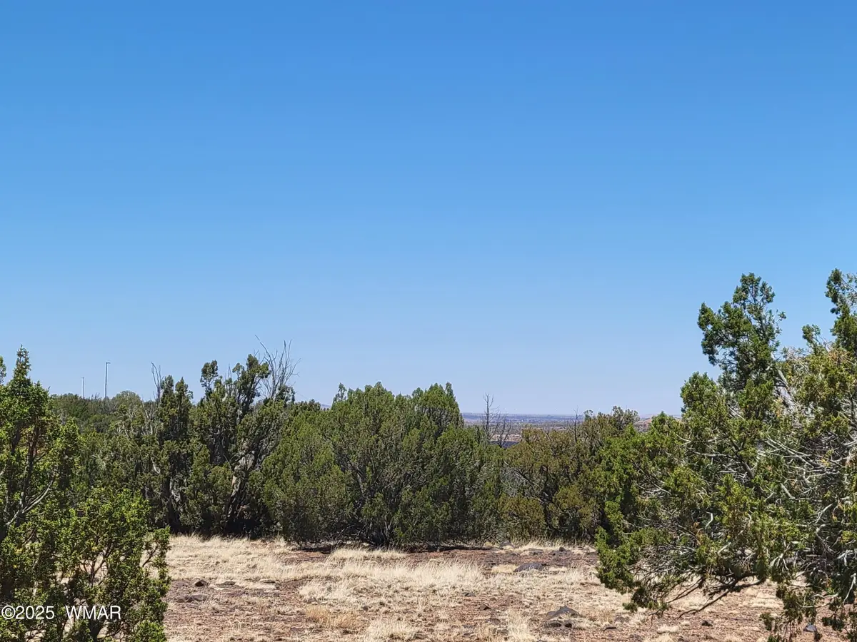 8442 Lake Ridge Road, Show Low, AZ 85901 - #1
