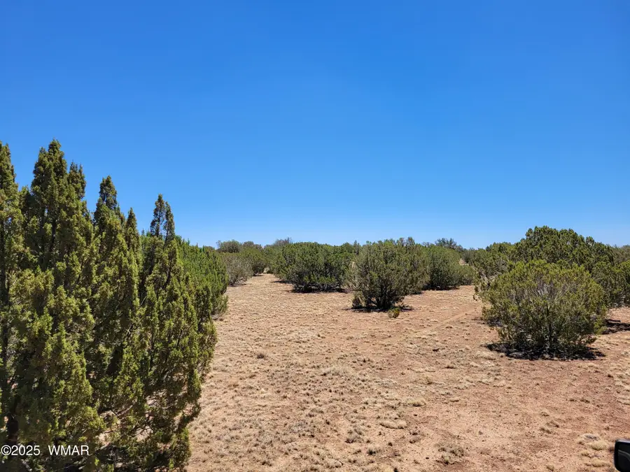 8442 Lake Ridge Road, Show Low, AZ 85901 - #3