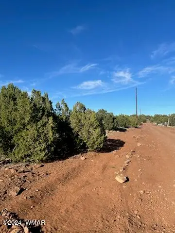 8766 Clark Road, Show Low, AZ 85901 - #1