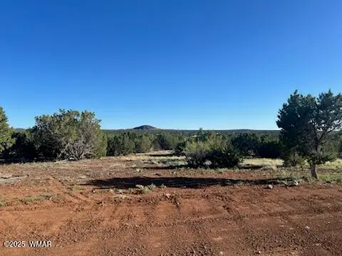 8766 Clark Road, Show Low, AZ 85901 - #2