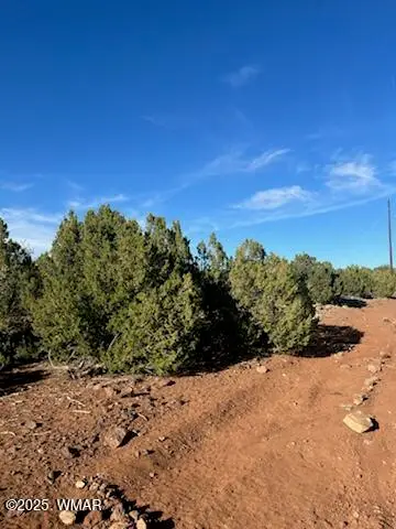 8776 Clark Road, Show Low, AZ 85901 - #1
