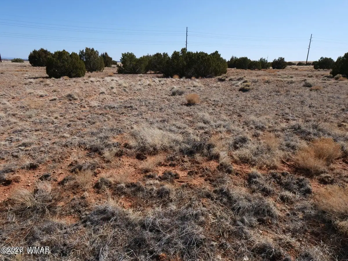 TBD Richard Dr, Snowflake, AZ 85937 - #1