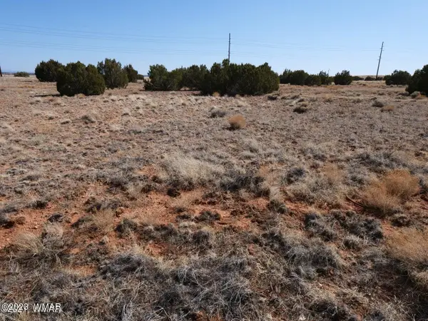 TBD Richard Dr, Snowflake, AZ 85937