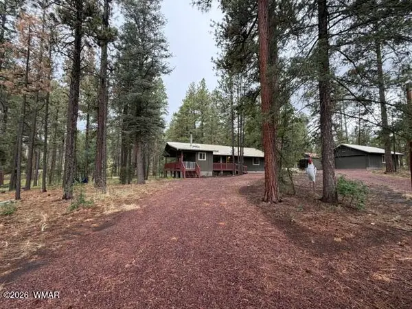 56 County Road 2266, Alpine, AZ 85920