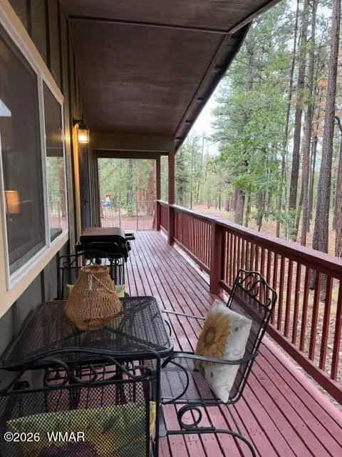 56 County Road 2266, Alpine, AZ 85920 - #3