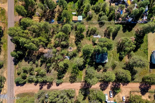 2877 Turkey Trail, Overgaard, AZ 85933