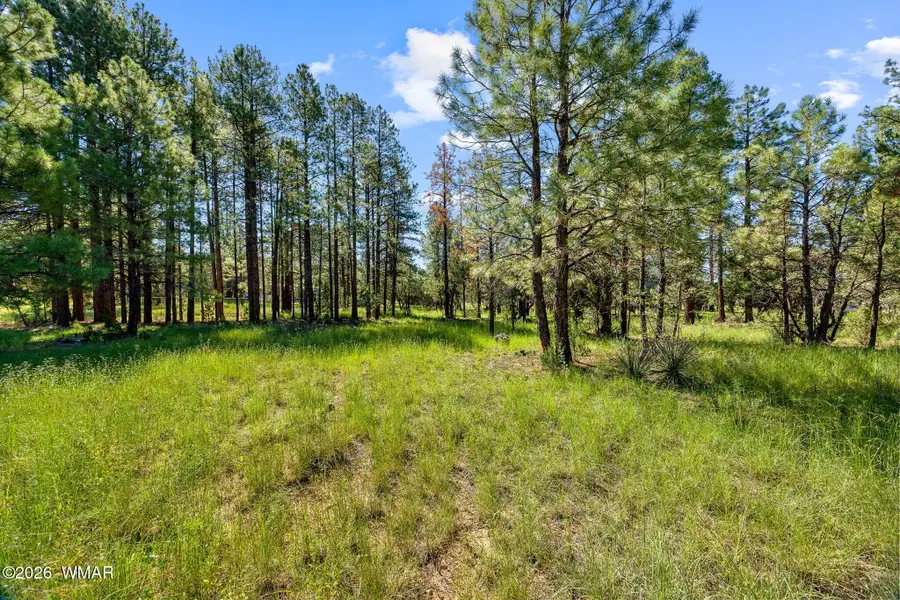 2877 Turkey Trail, Overgaard, AZ 85933 - #2