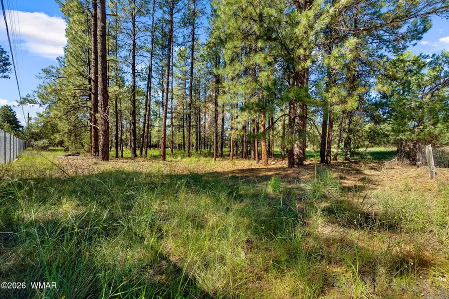2877 Turkey Trail, Overgaard, AZ 85933 - #3