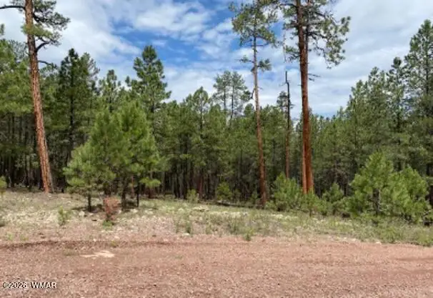 15 County Road 2083, Alpine, AZ 85920 - #1