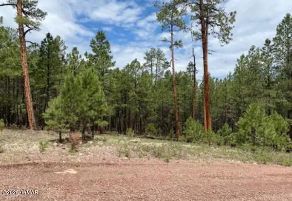 15 County Road 2083, Alpine, AZ 85920