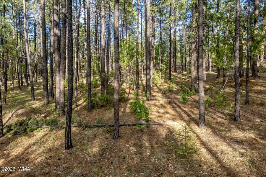 15 County Road 2083, Alpine, AZ 85920 - #2