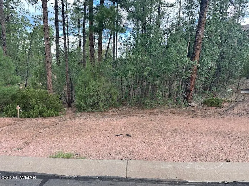 1680 W Snow Creek Loop, Show Low, AZ 85901 - #1