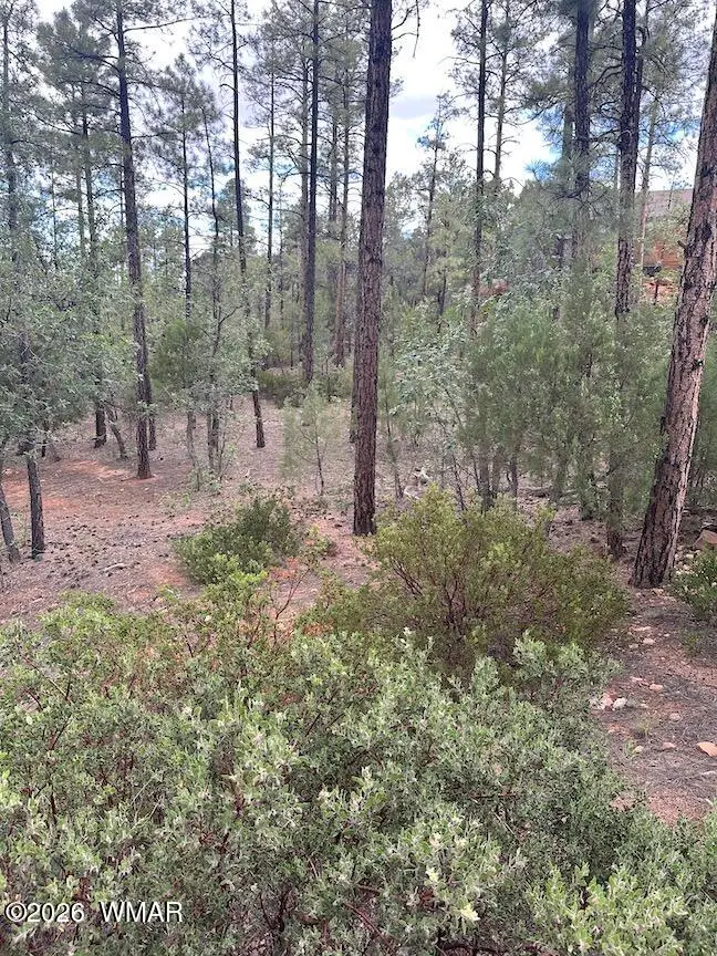 1680 W Snow Creek Loop, Show Low, AZ 85901 - #2