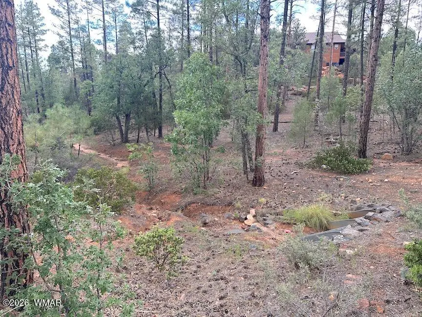 1680 W Snow Creek Loop, Show Low, AZ 85901 - #3