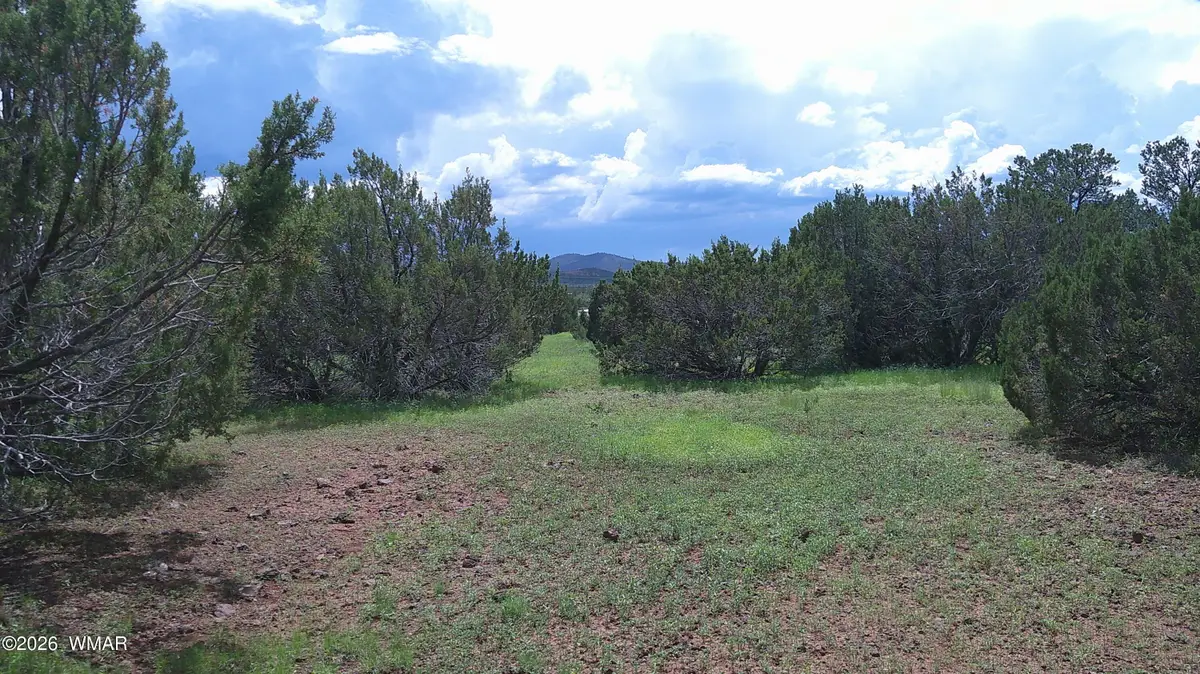 19 N3133, Vernon, AZ 85940 - #1
