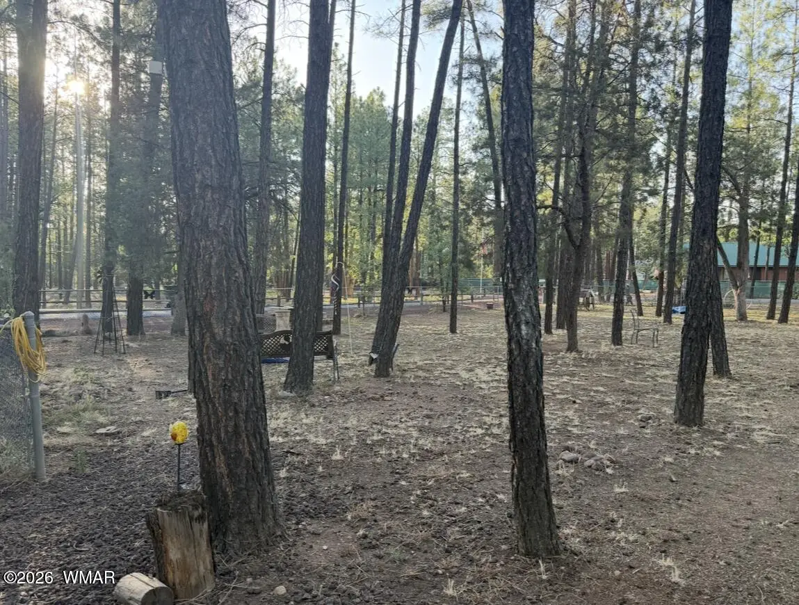 3915 Meadow View Drive, Lakeside, AZ 85929 - #1