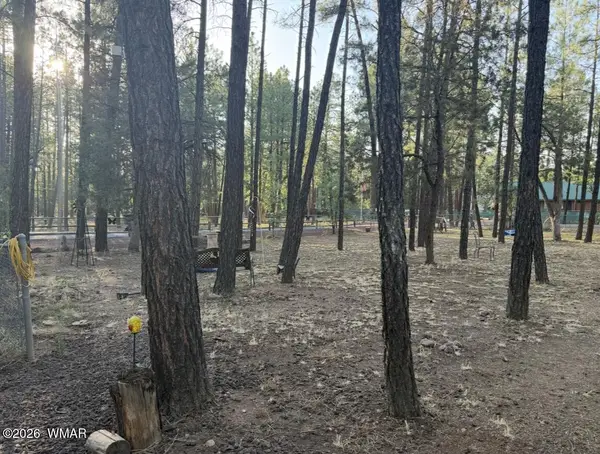 3915 Meadow View Drive, Lakeside, AZ 85929