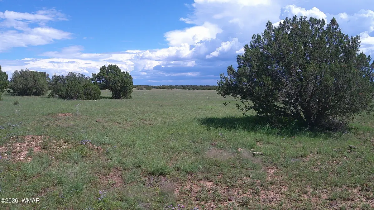 8583 Pine Lane, Show Low, AZ 85901 - #1