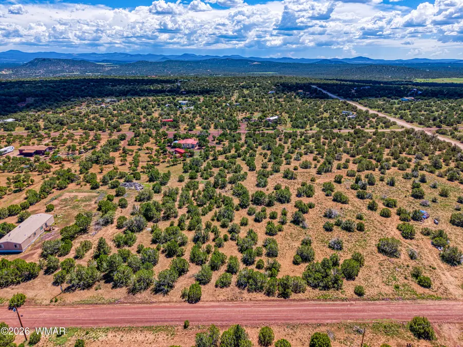59 Harry Drive, Concho, AZ 85924 - #3