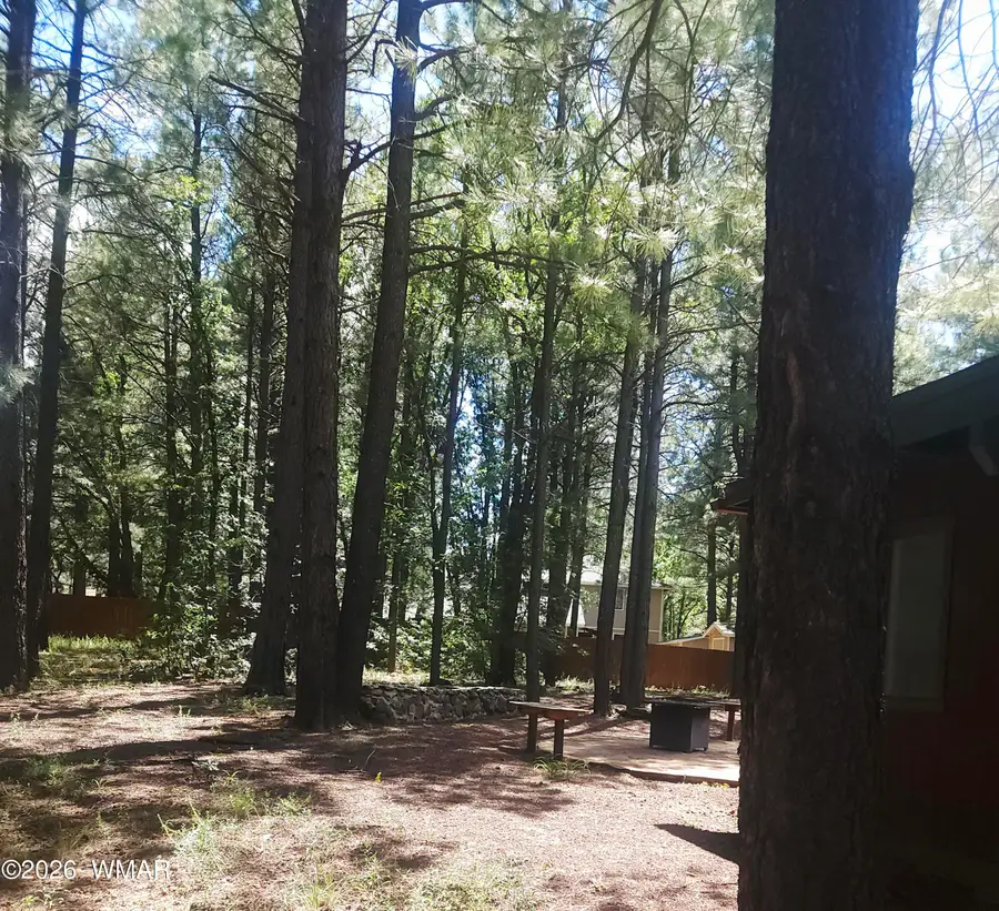 4237 Clear Sky Circle, Pinetop, AZ 85935 - #3