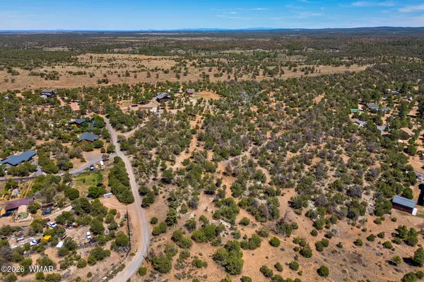 3237 Outlaw Trail, Overgaard, AZ 85933