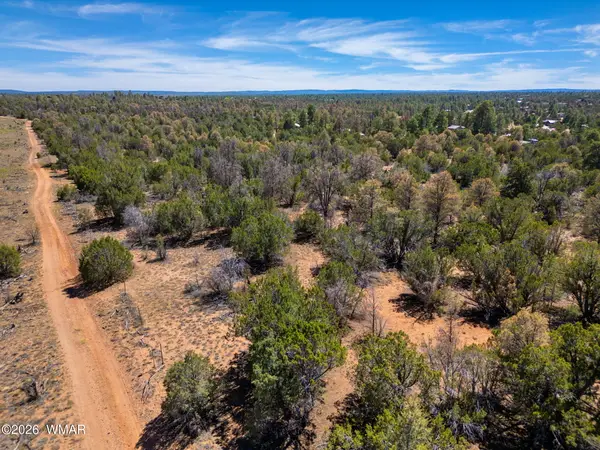 3365 Weese Run, Overgaard, AZ 85933
