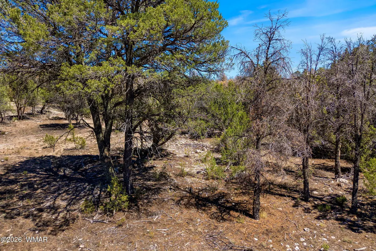 3371 Weese Run, Overgaard, AZ 85933 - #1
