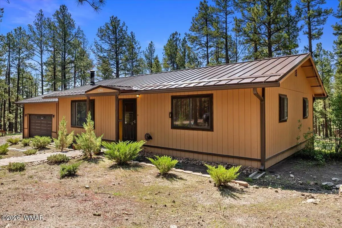 8 Turkey Track Drive, Alpine, AZ 85920 - #1