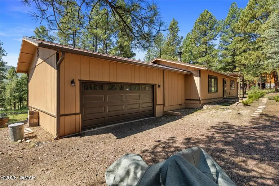 8 Turkey Track Drive, Alpine, AZ 85920 - #3