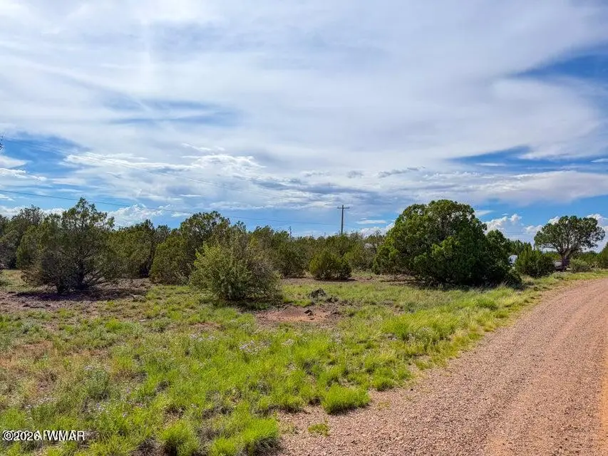 8543 & 8545 Loveridge Drive, Show Low, AZ 85901 - #1