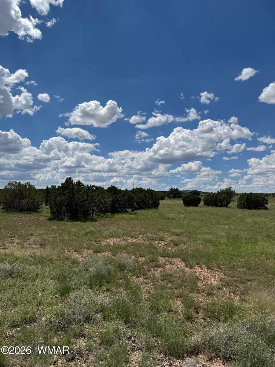 TBD Eucalyptus Lane, Concho, AZ 85924 - #2
