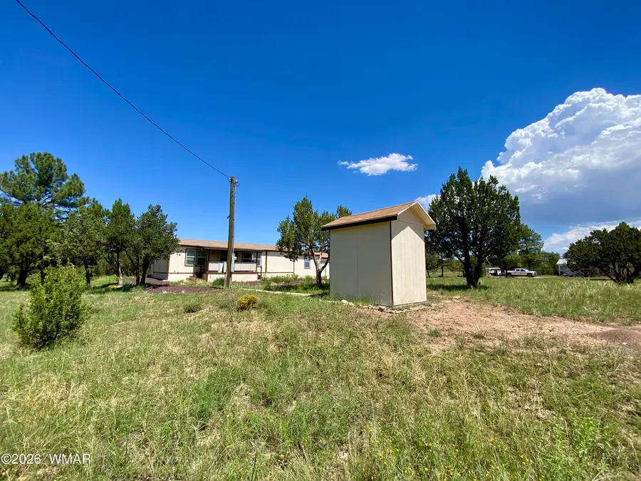 937 Kings High Road, Show Low, AZ 85901 - #3