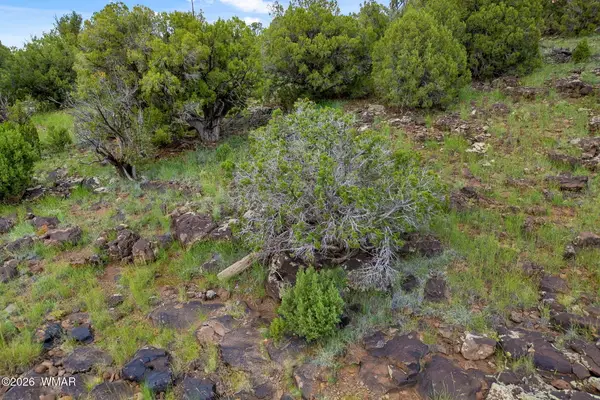 8281 & 8283 Ridge Drive, Show Low, AZ 85901