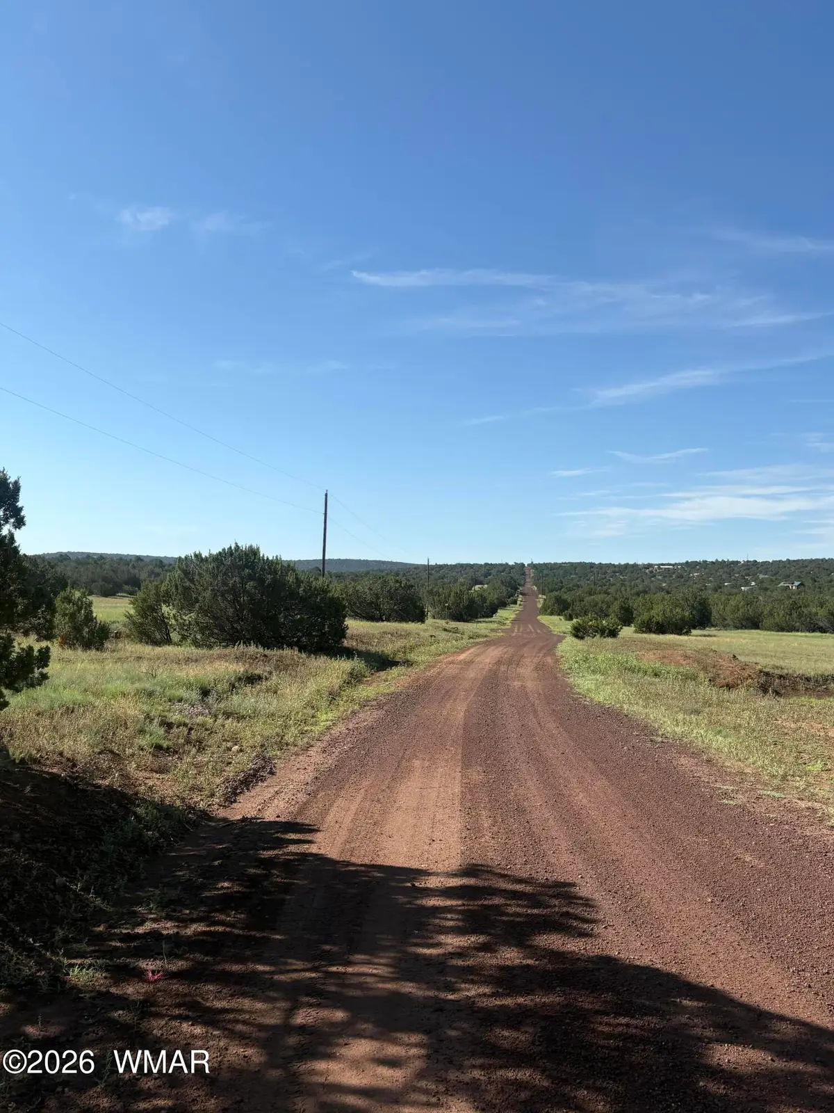 82 County Road 8230 Road, Concho, AZ 85924 - #1
