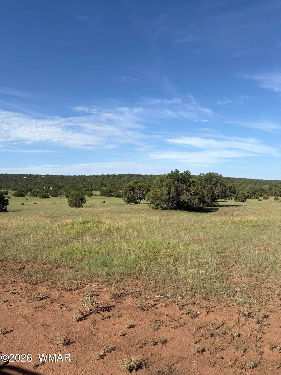 82 County Road 8230 Road, Concho, AZ 85924 - #2