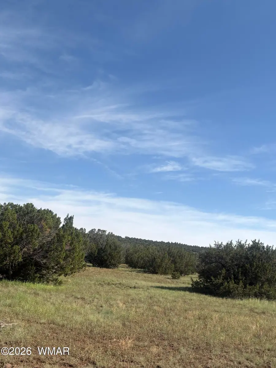 80 County Road, Concho, AZ 85924 - #3