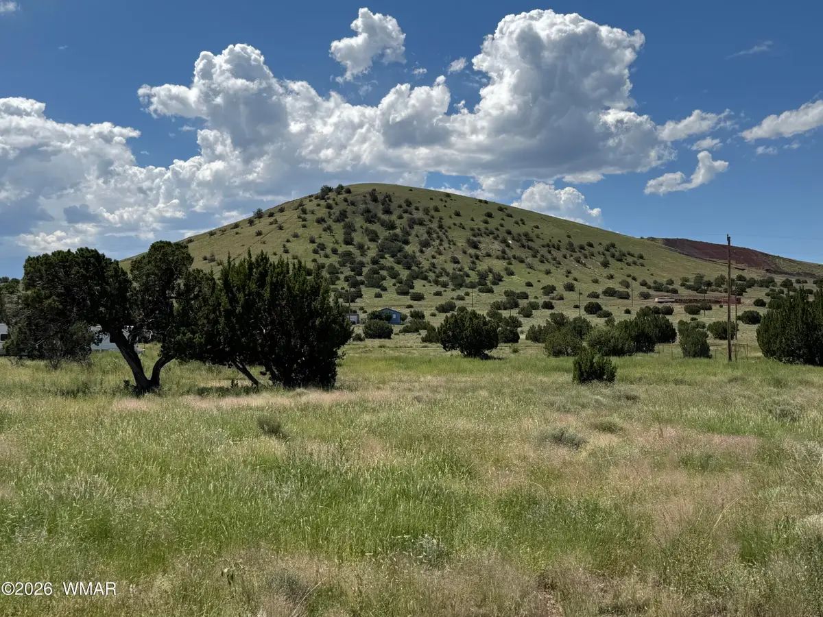 31 County Road 5203, Concho, AZ 85924 - #1