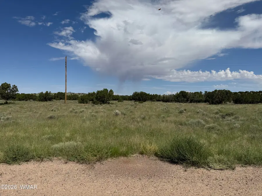 31 County Road 5203, Concho, AZ 85924 - #3