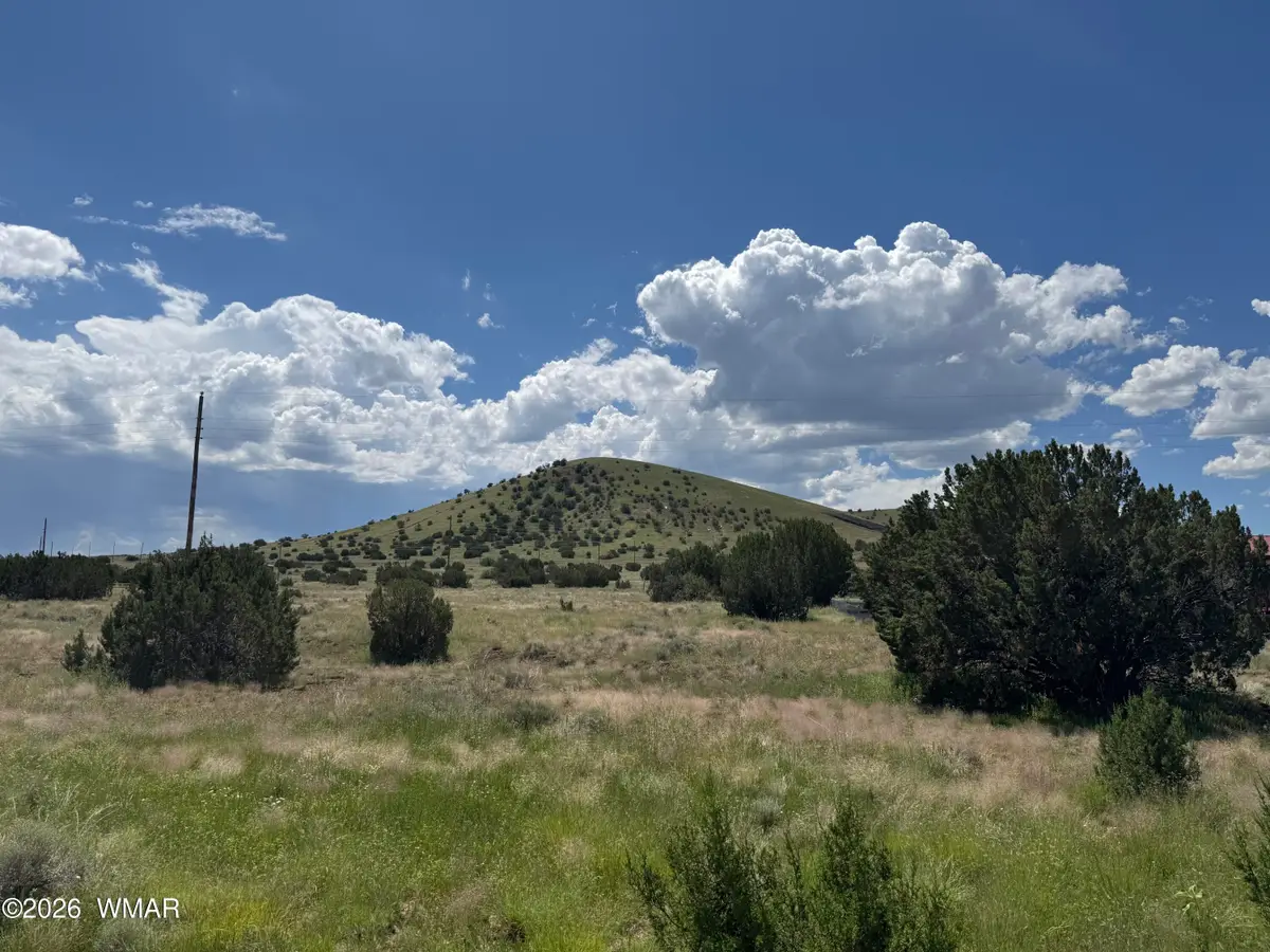 20 County Road 5203, Concho, AZ 85924 - #1